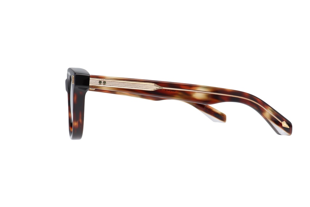 GASPARD Brn/Horn 47/24